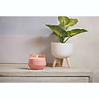 Alternate image 4 for Yankee Candle&reg; Pink Sands&trade; 10 oz. Studio Collection Candle in Light Pink