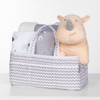 Alternate image 1 for My Tiny Moments&reg; 5-Piece Hippo Gift Set in Blue/Grey