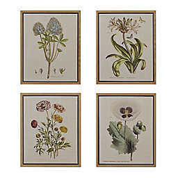 Martha Stewart Herbal Botany Framed 18-Inch x 22-Inch Canvas Wall Art in Green (Set of 4)