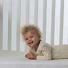Alternate image 4 for Bundle of Dreams&reg; Classic 100% Breathable Crib and Toddler Mattress with Organic Cotton Cover