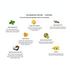 Alternate image 7 for oogiebear&reg; Mini Nosebalm and Chestrub Kit