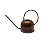 Alternate image 0 for Bee &amp; Willow&trade; Watering Can in Bronze