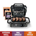 Alternate image 1 for Ninja Woodfire&trade; 7-in-1 Outdoor Grill & Smoker in Grey