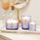 Alternate image 3 for Chesapeake Bay Candle&reg; Mind &amp; Body Serenity + Calm Medium Jar Candle in Dark Purple