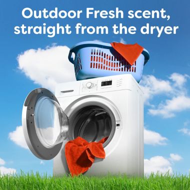 Bounce&reg; 240-Count Fabric Softener Dryer Sheets in Outdoor Fresh. View a larger version of this product image.