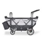 Alternate image 17 for Larktale&trade; Caravan&trade; Double Stroller/Wagon
