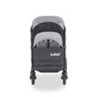 Alternate image 18 for Larktale&trade; Caravan&trade; Double Stroller/Wagon