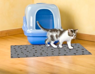 Large Cat Litter Box Mat with Black Paw 