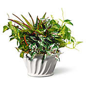 National Tree Company&reg; 11&quot; Artificial Table Plant in White Oval Planter