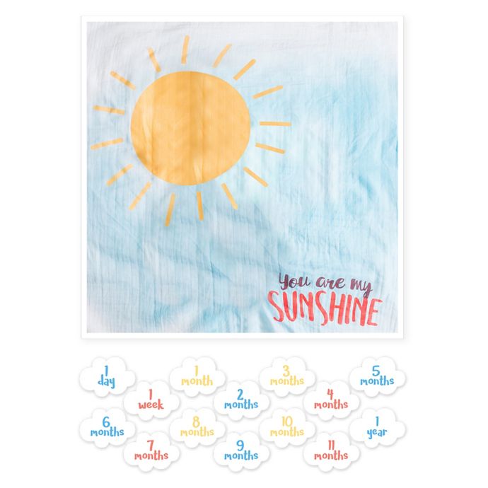 Lulujo Baby You Re My Sunshine Milestone Blanket Bed Bath Beyond