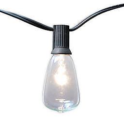Luma 10-Light Edison Style String Lights
