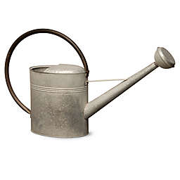 National Tree Company® Garden Accents Antique Metal Watering Can