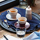 Alternate image 1 for Royal Doulton&reg; Coffee Studio Espresso Cups and Saucers (Set of 4)