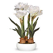 National Tree Company 20-Inch Artificial Amaryllis Arrangement in White with White Planter