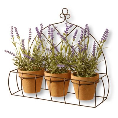 National Tree Company 17-Inch Potted Lavender Plants with Black Wire Rack