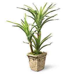 National Tree Company® 14-Inch Yucca Artificial Plant with Pot