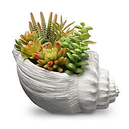 National Tree Company® 9.8-Inch Artificial Succulent with White Conch Shell Ceramic Pot