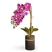 National Tree Company 23-Inch Artificial Orchid in Purple with Brown Bamboo Peg Pot