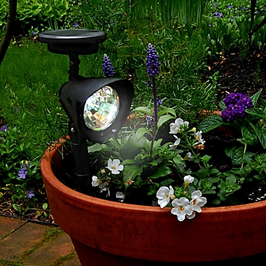 Solar Powered Spot Lights in Black (Set of 2). View a larger version of this product image.