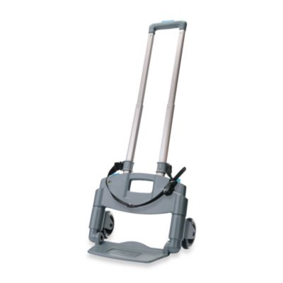 Brica Car Seat Carrier 2024 elgincountymidwives