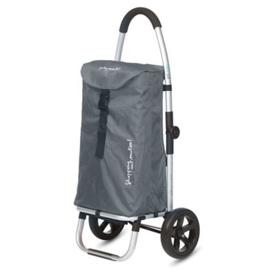 baby shopping trolley walker