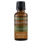 Alternate image 0 for SpaRoom&reg; Eucalyptus Essential Oil