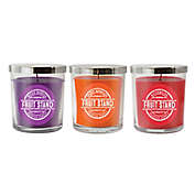 10 oz. Mason Jar Fruit Stand Scented Candle Collection (Set of 3)