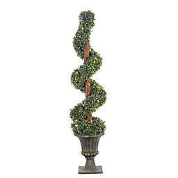 Sterling Boxwood Spiral 4-Foot Pre-Lit Potted Artificial Christmas Tree