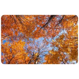 fall kitchen rug