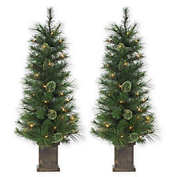Gerson 4-Foot Pre-Lit Potted Hard Needle Alaskan Fir Artificial Christmas Tree (Set of 2)