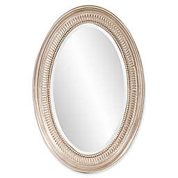 Howad Elliott® 31-Inch x 21-Inch Ethan Oval Mirror