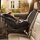Alternate image 3 for Brica&reg; Car Seat Guardian Plus in Grey