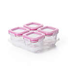 Alternate image 0 for OXO Tot&reg; 4 oz. Glass Baby Food Storage Blocks in Pink