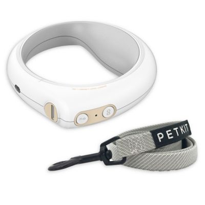 leash buckle