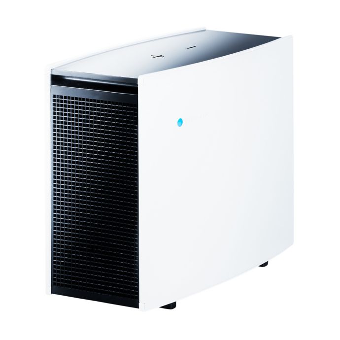 air purifier for allergies and mold