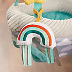 Alternate image 5 for Evenflo&reg; ExerSaucer&reg; Sweet Skies Doorway Jumper with Removable Toys