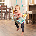 Alternate image 1 for Evenflo&reg; ExerSaucer&reg; Sweet Skies Doorway Jumper with Removable Toys