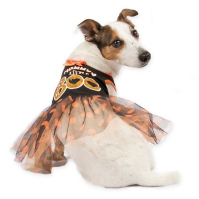 boo dog clothes
