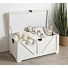 Alternate image 1 for Kate and Laurel Cates Storage Chest in White