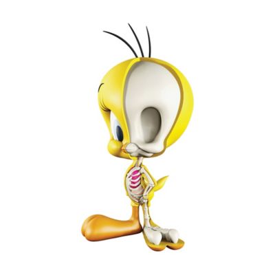 4d master 4d xxray