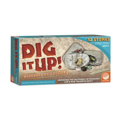 MindWare Dig It Up. Minerals and Fossils