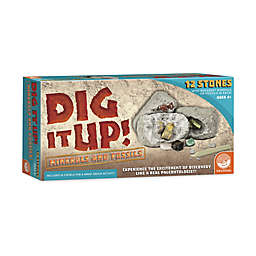MindWare Dig It Up. Minerals and Fossils