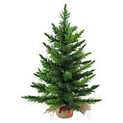 Northlight 2-Foot Mini Balsam Pine Christmas Tree with Burlap Base