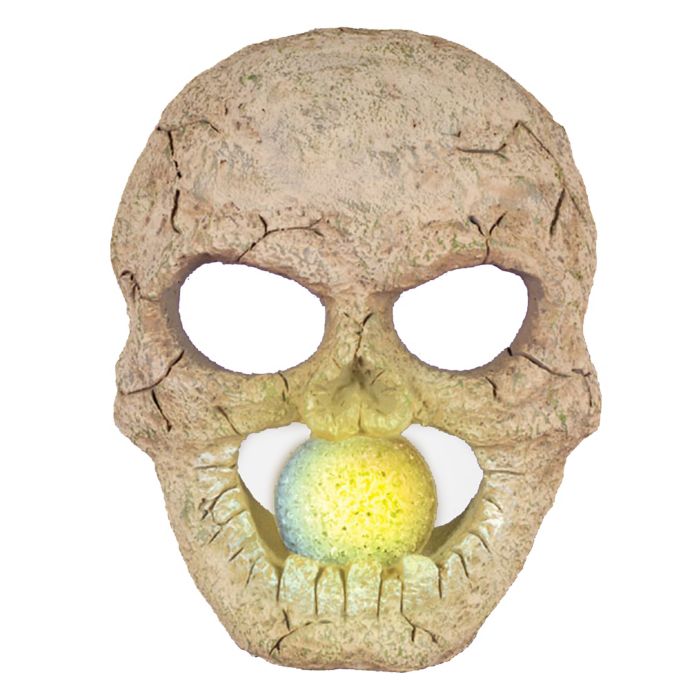 Led Lighted Skull Halloween Decoration Bed Bath Beyond