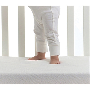 Bundle of Dreams&reg; 100% Breathable Orion Crib and Toddler Mattress Organic Cotton Cover. View a larger version of this product image.