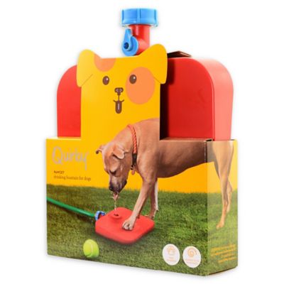 bed bath and beyond pet fountain