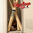 Alternate image 1 for Rawlings&reg; Baseball Bat