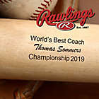 Alternate image 1 for Rawlings&reg; Best Coach Baseball Bat