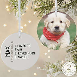Definition of Pet 2-Sided Matte Christmas Ornament