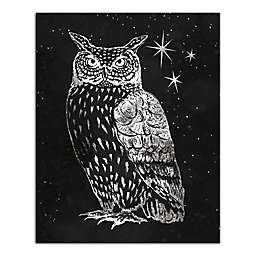 Designs Direct Grey Night Owl 16-Inch x 20-Inch Canvas Wall Art
